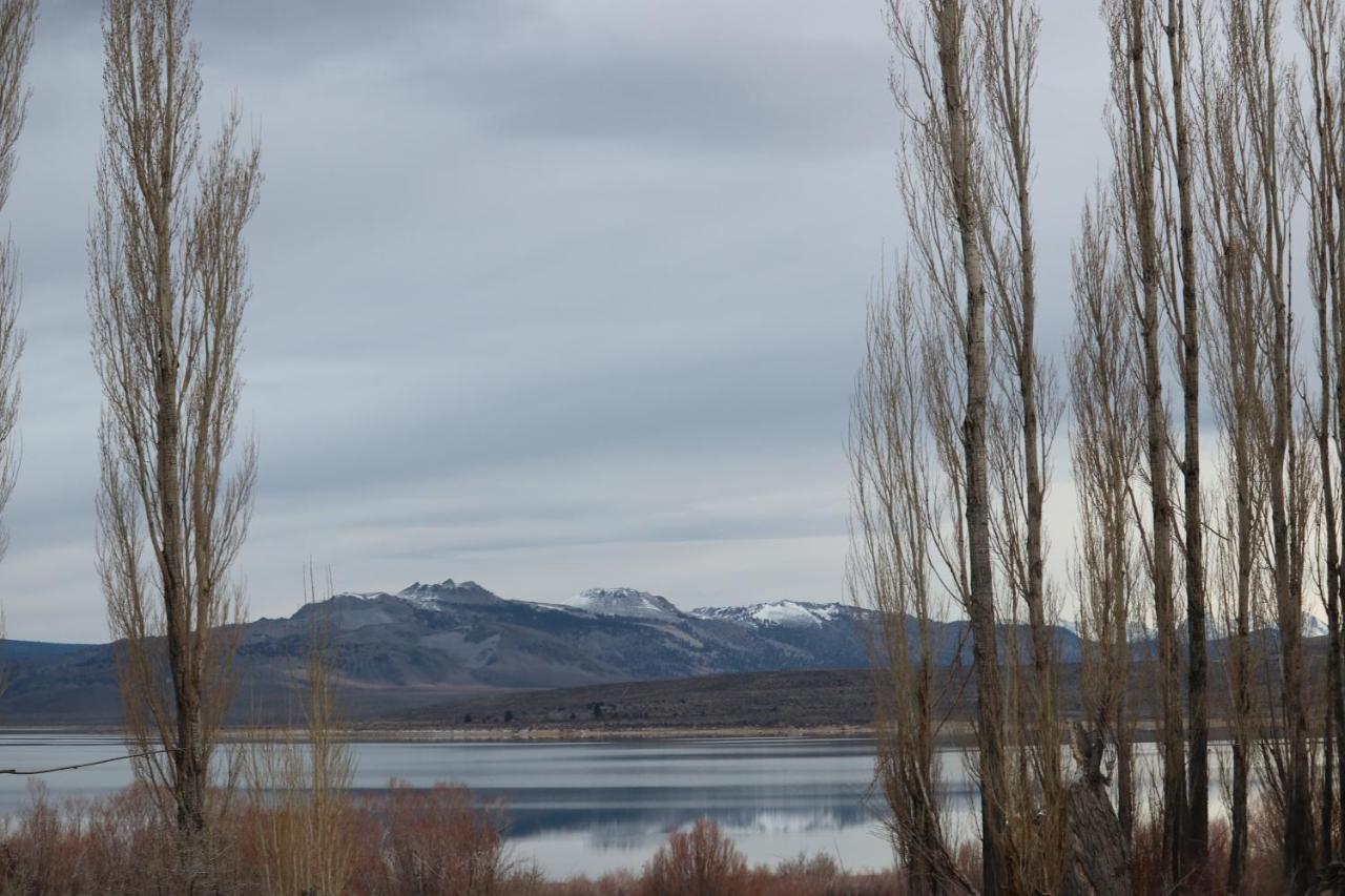 לי וינינג Lake View Lodge מראה חיצוני תמונה