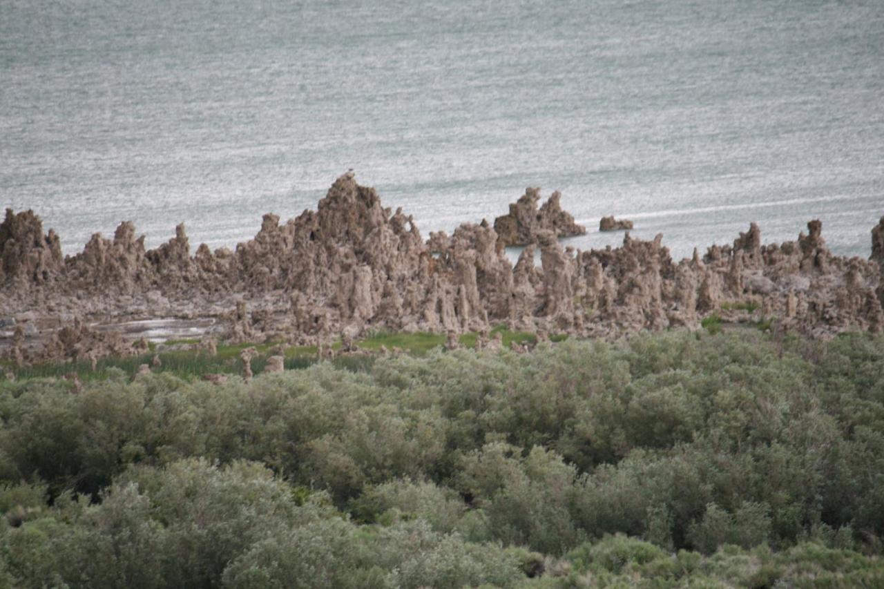 לי וינינג Lake View Lodge מראה חיצוני תמונה